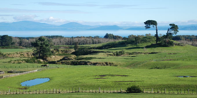 Whaitiri says pushing Maori land bill won't end well.