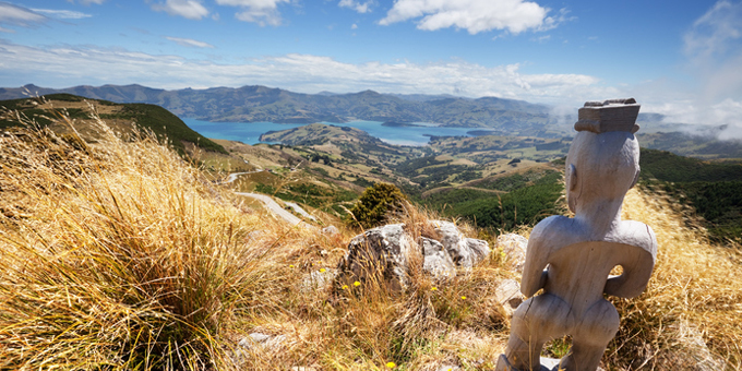 Maori Land Service to support land owners