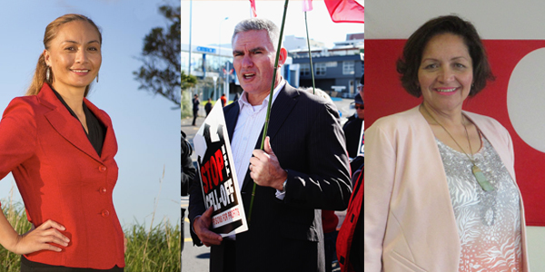 2015 Top 3 Maori MPs