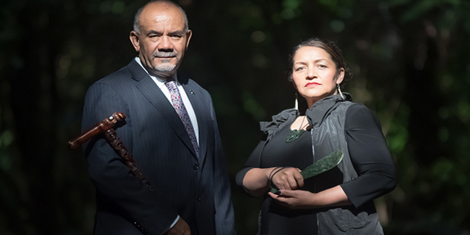 MEDIA STATEMENT:  Māori Party calls for Royal Commission of Inquiry into child abuse