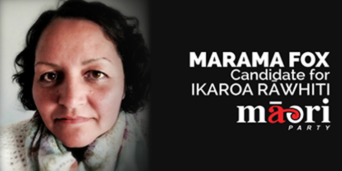 Maori Party picks remaining candidates