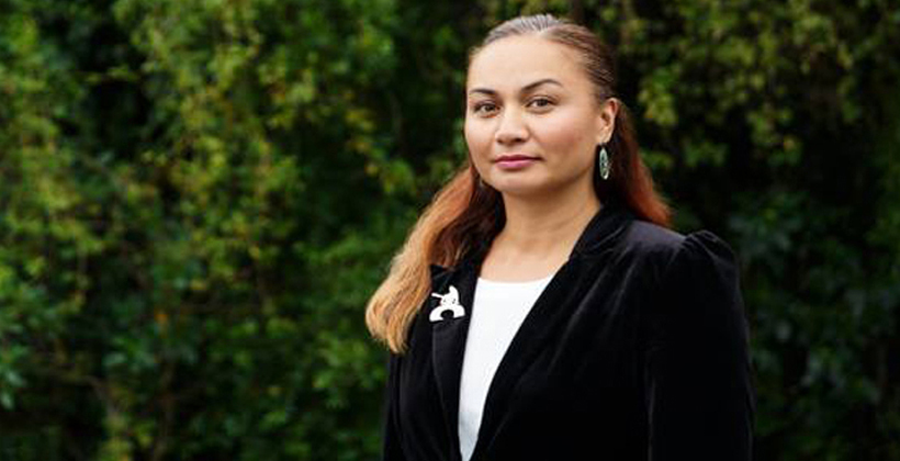Marama Davidson's Tamaki Makaurau attempt a chance for the Māori Party