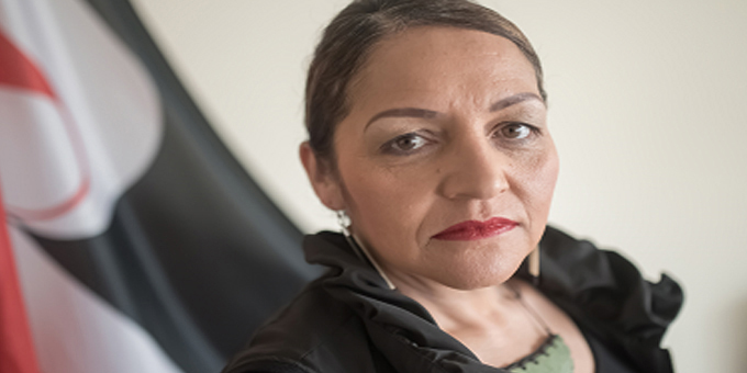 Maori Party feels targeted