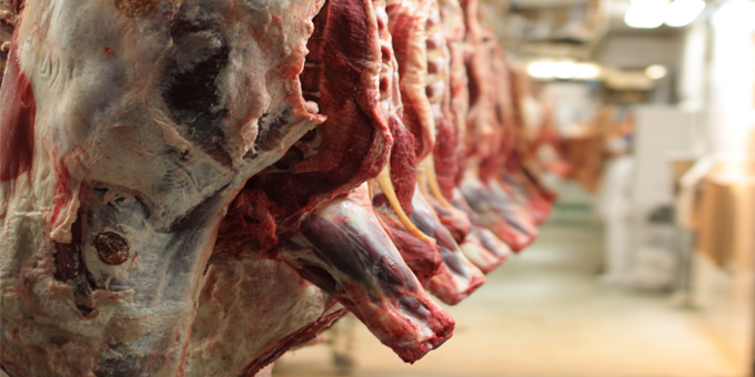 Red meat industry looks for change