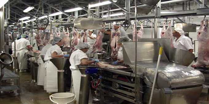 Labour wants iwi repeat in meat industry talks