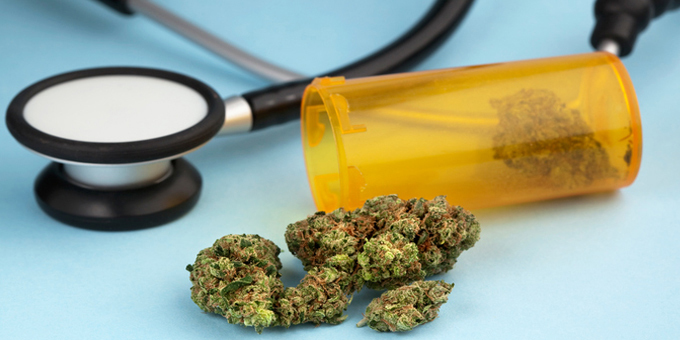 Medical cannabis could create Northland jobs