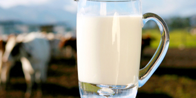 Miraka to send branded milk to Malaysia