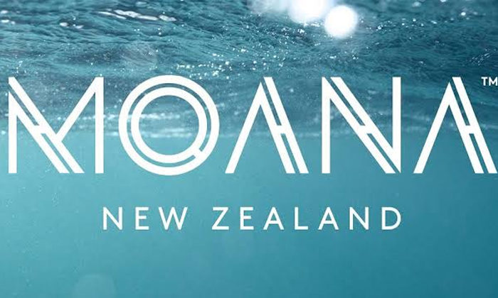 Good year for Maori fishing companies