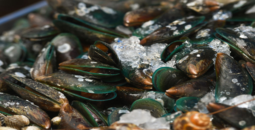 Spike in poisoning from raw mussels