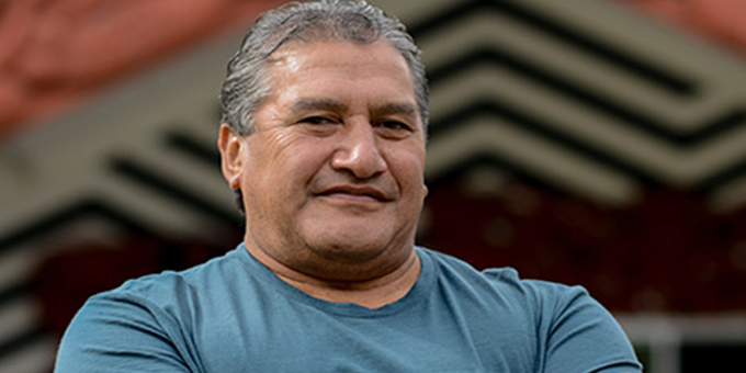 Iwi chair backs Maori Party run