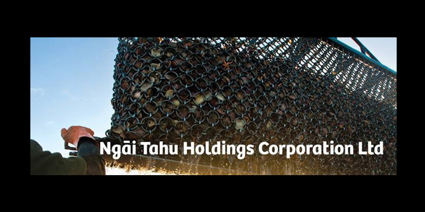 Pohio steps in to run Ngai Tahu business