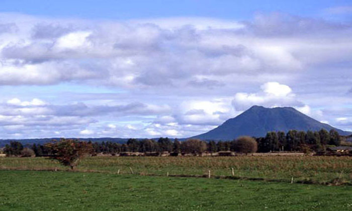 07 o Huitanguru 2024 | Ngā Kohinga Kōrero a Tumeke FM i Te Ata