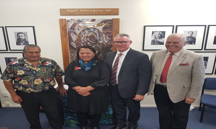 Puao Te Ata Tu vision in Oranga Tamariki-iwi partnership