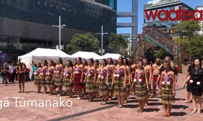 Nga Tumanako too strong in Auckland kapa