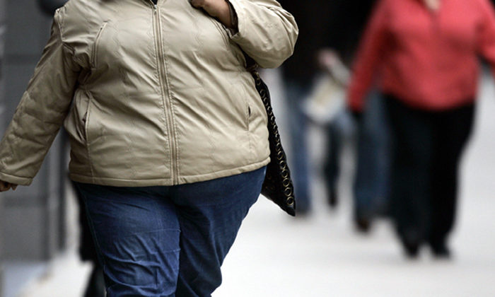 Food havens way out of obesity