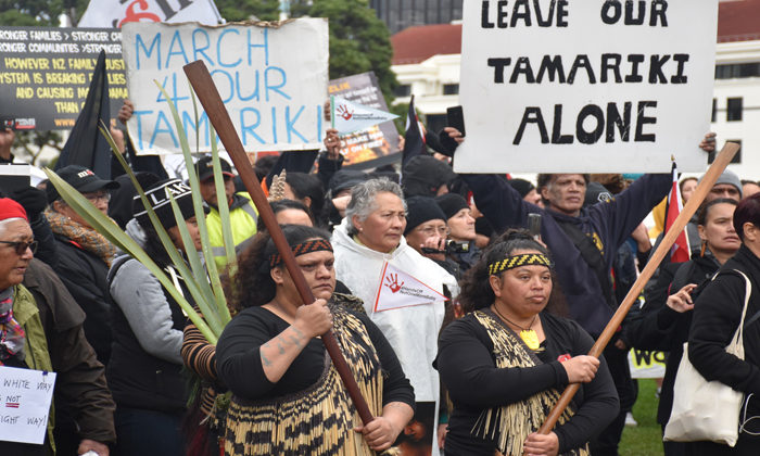 Push Oranga Tamariki Out of the Equation Māori Know What Works for Their Own