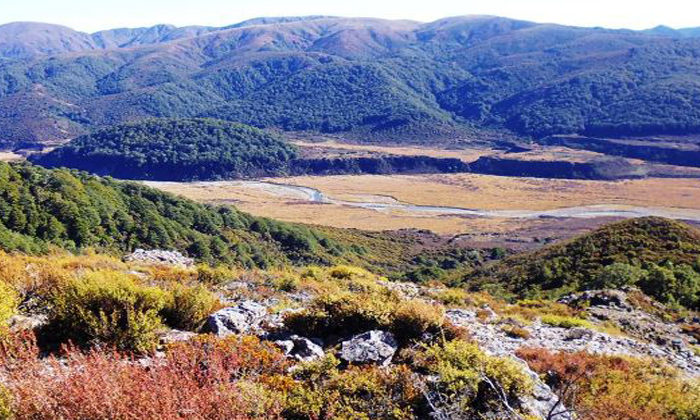 Kawenata protects Taupo mountain block
