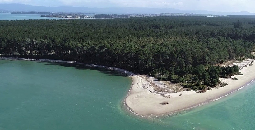 Council agrees to return Matakana Island whenua
