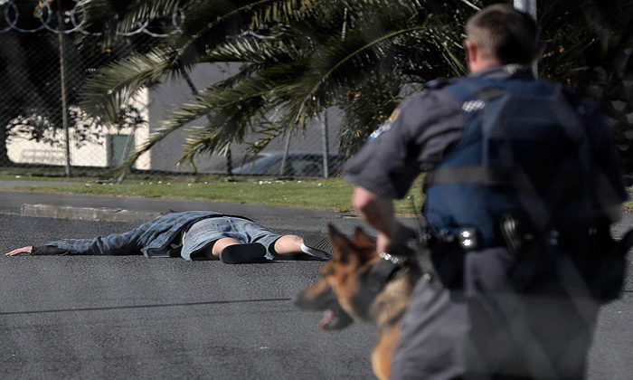 Armed police a threat to Maori in moment of madness