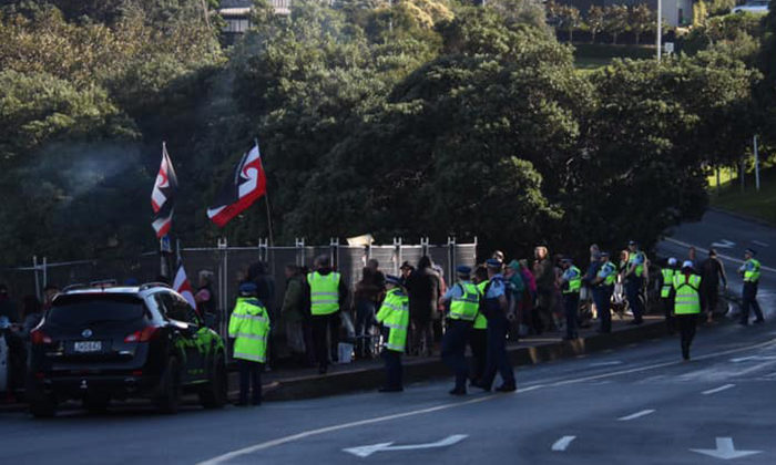 Waiheke protest clear-out "overreaction"