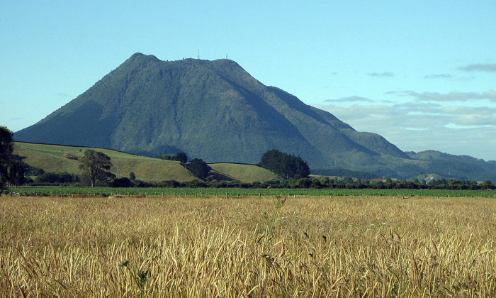 21 o Huitanguru 2024 | Ngā Kohinga Kōrero a Tumeke FM i Te Ata