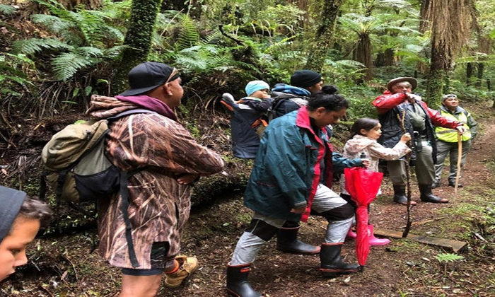 COVID funding for Raukūmara forest recovery