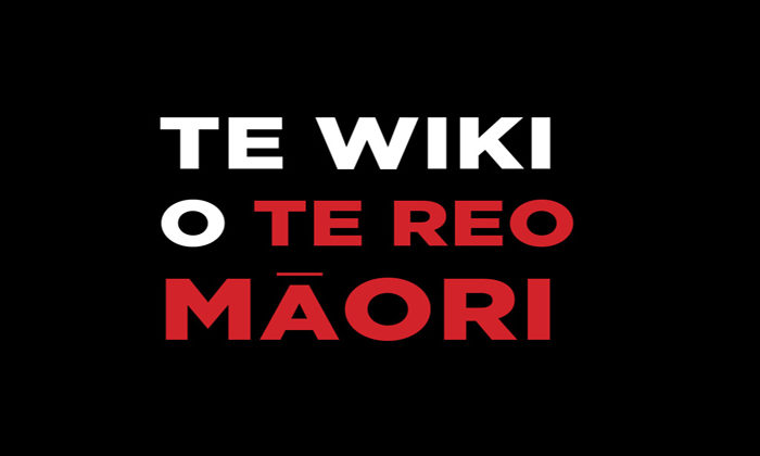 Te hootaka reo maori o Waikato-Tainui