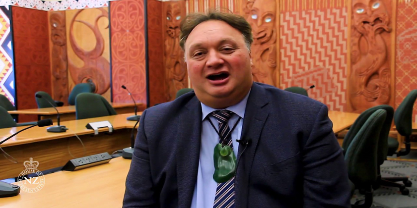 Maori seats bill passes first reading