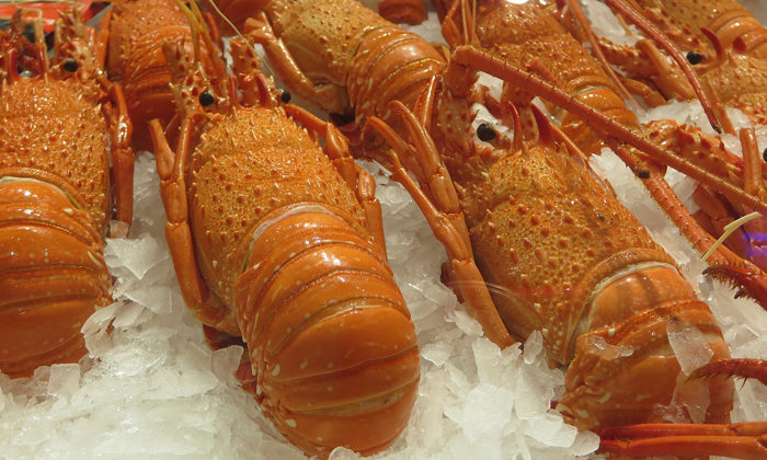 Iwi Collective counts cost of coronavirus on lobster trade
