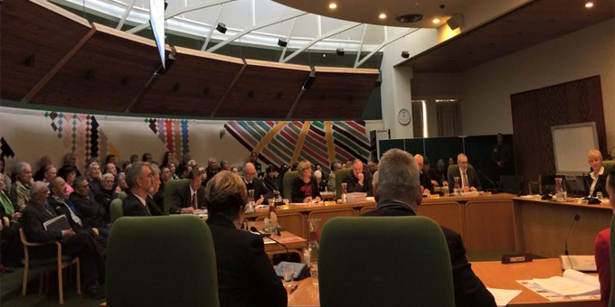 Te Arawa partnership plan passed