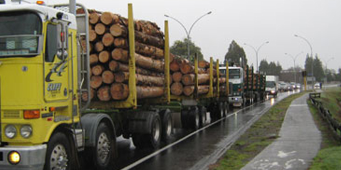 Transport Agency parks Rotorua road plan