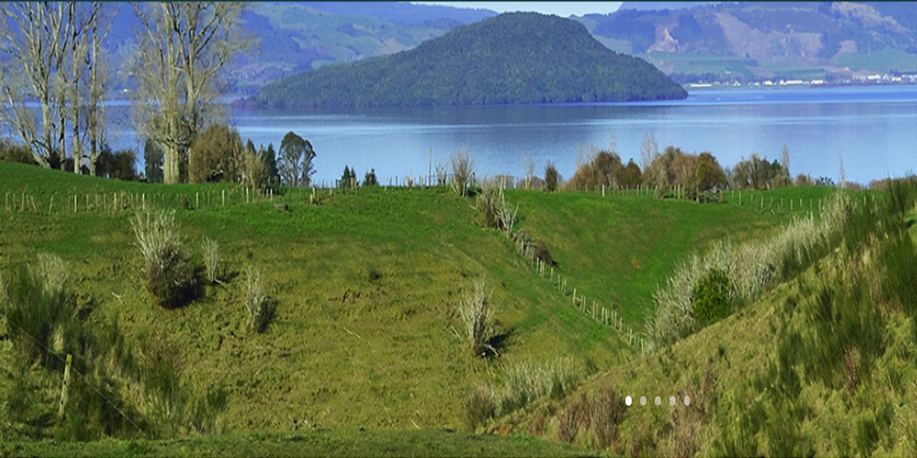 Fund tests new land uses for Rotorua