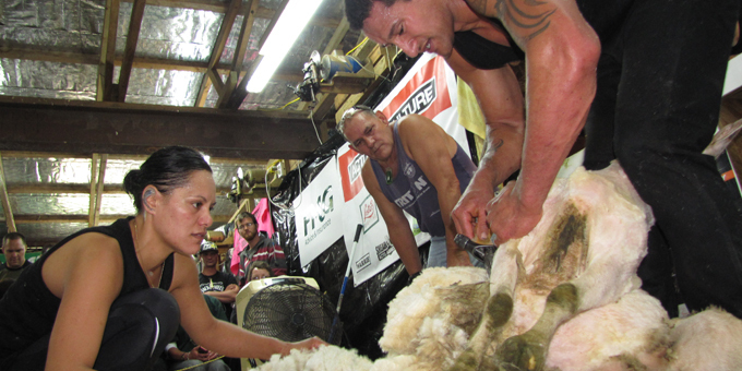 Te Huia takes on shearing record
