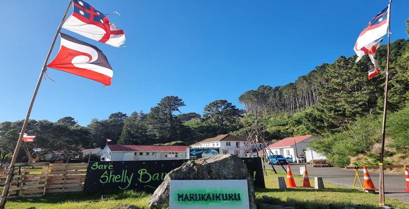 Taranaki Whānui stake in Shelly Bay unveiled