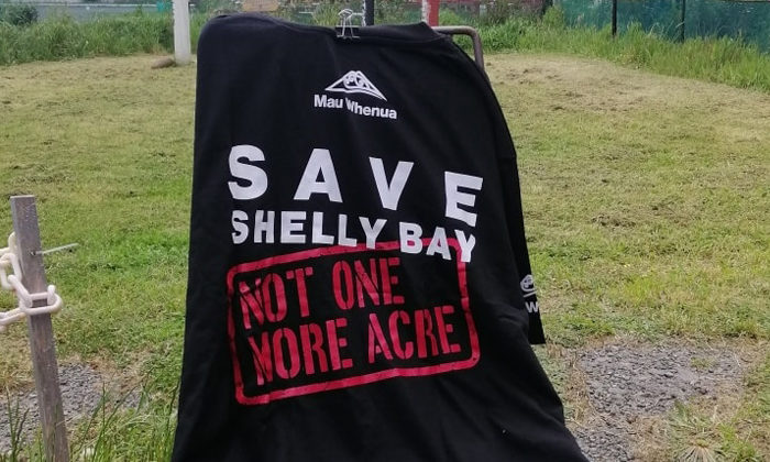 Shelly Bay frozen for High Court challenge