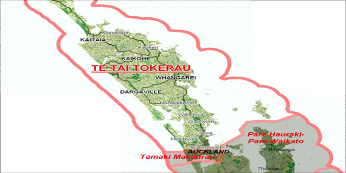 Holding Te Taitokerau critical for Davis