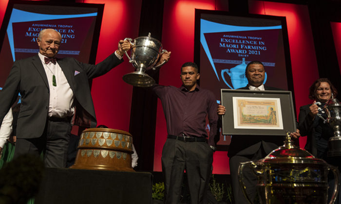 Ahuwhenua Trophy winner announced