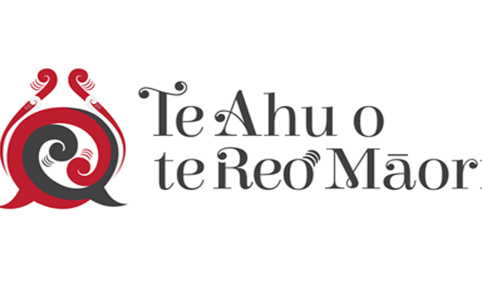 500 te reo champions in classrooms