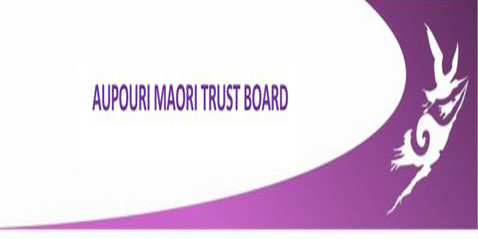 Te Aupouri Maori Trust Board under scrutiny