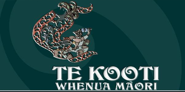 Maori Land Court barred from treaty mandate case