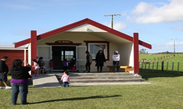 Long path to Ngāti Hinerangi settlement