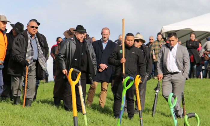 Another milestone as Te Rarawa steps toward horticultural vision for the region
