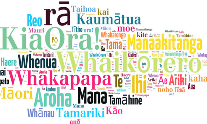 Reo lessons draw in whānau