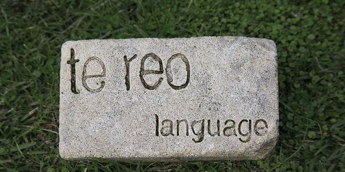 Maori must be first among second languages - Davidson