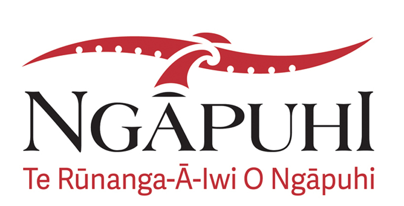 Ngapuhi chief executive steps down