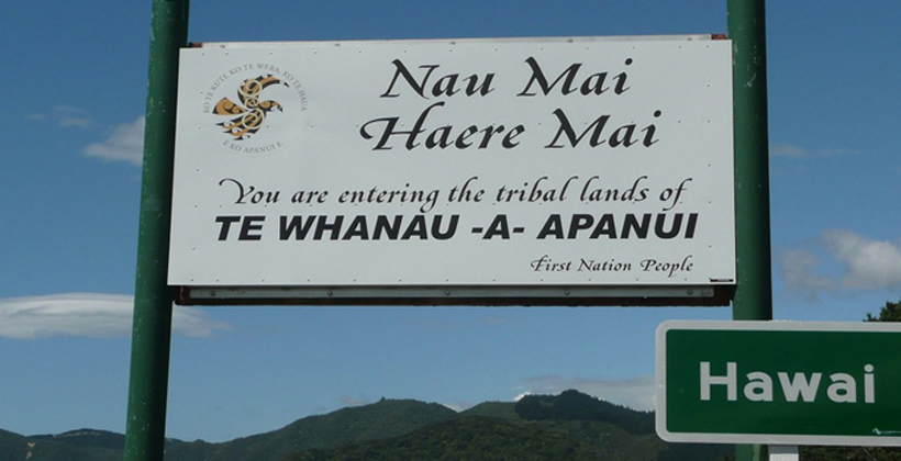 Whānau-a-Apanui rallies hapū around settlement