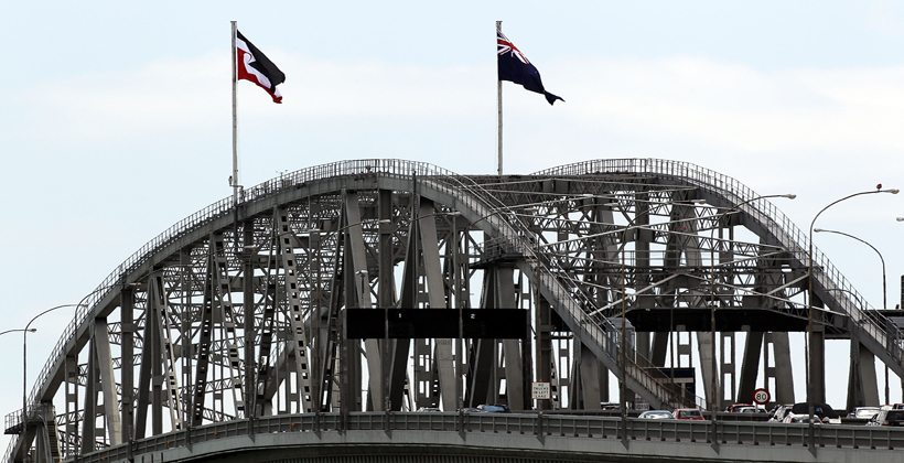 Twin Harbour Bridge flags would send partnership message