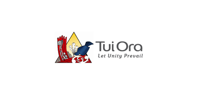 Wayne Mulligan Chair of Tuiora Ltd