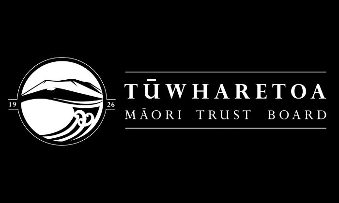 Tūwharetoa taps former trustee as new CEO