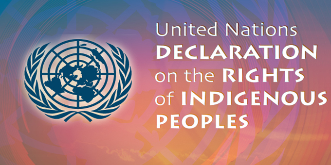 Indigenous declaration compliance needs action